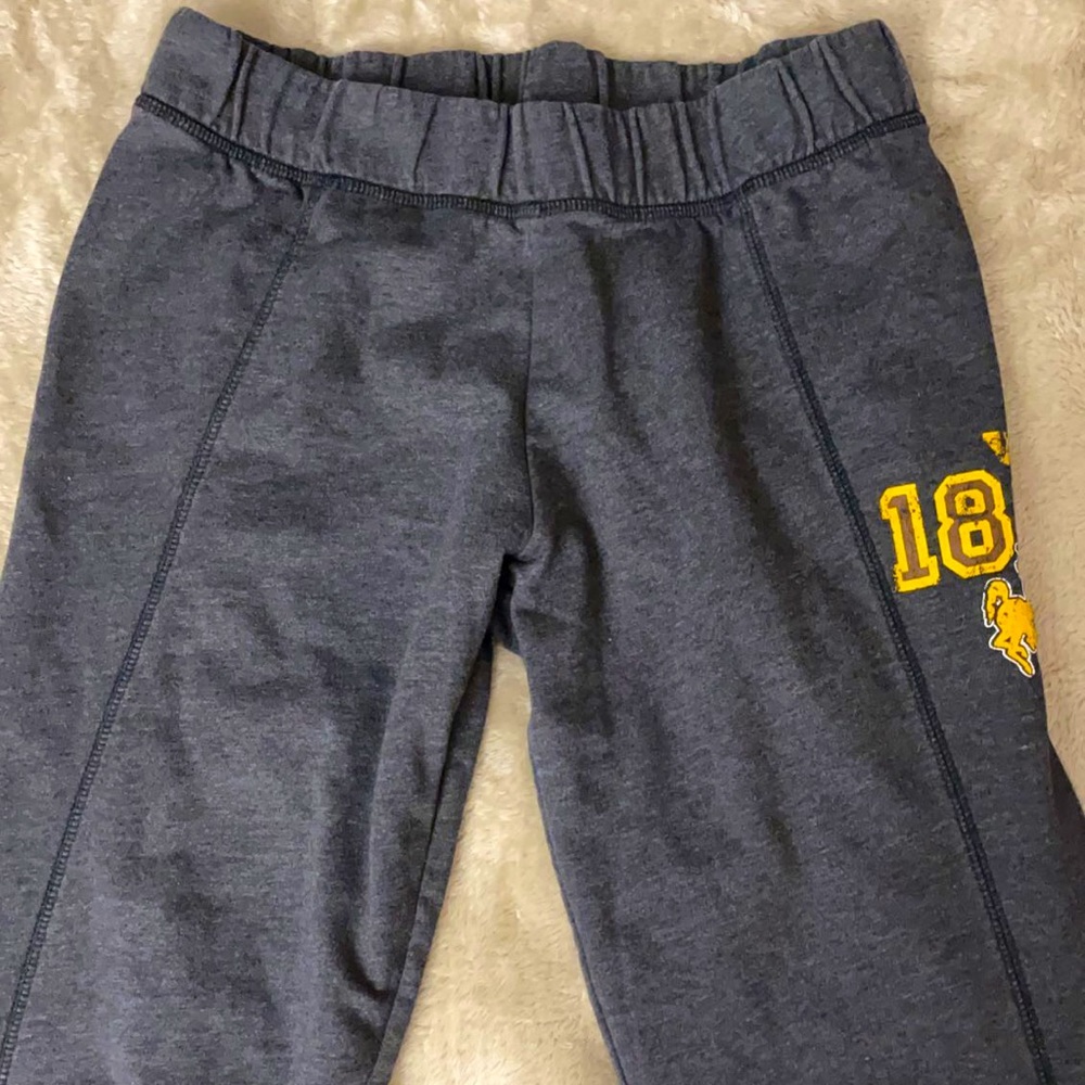 Gray Wyoming university joggers